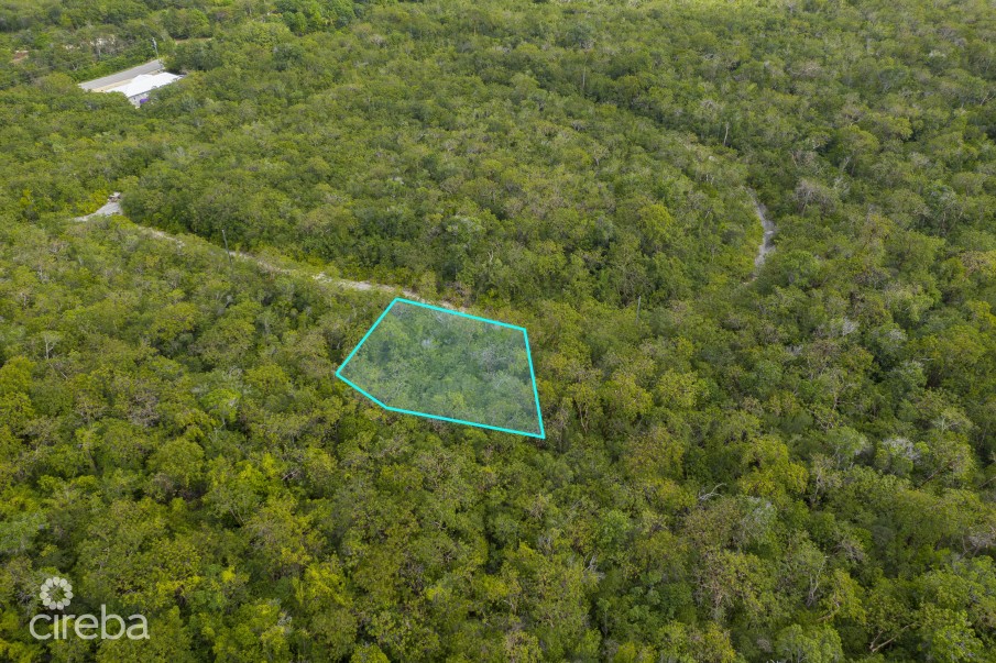CAYMAN BRAC LAND 230 - Image 3