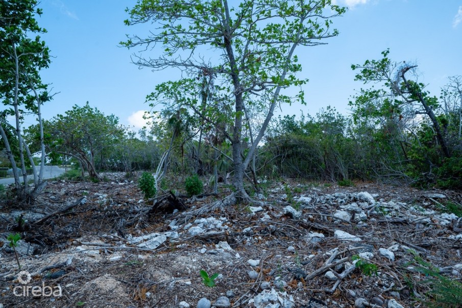 CAYMAN BRAC LAND, RYAN DR. - Image 9