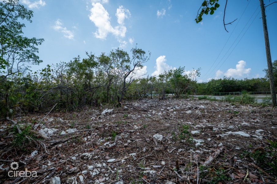 CAYMAN BRAC LAND, RYAN DR. - Image 4