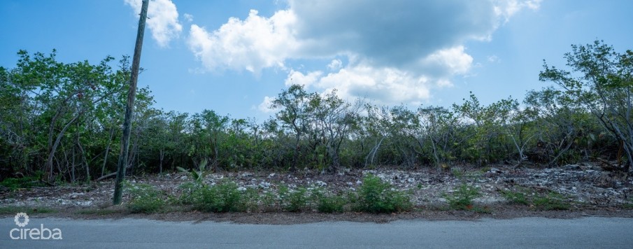 CAYMAN BRAC LAND, RYAN DR. - Image 7