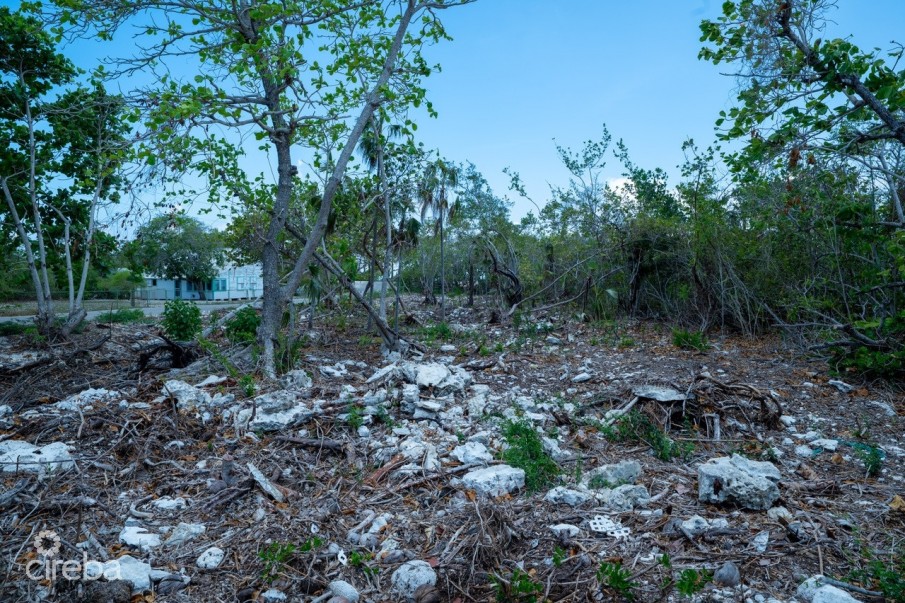 CAYMAN BRAC LAND, RYAN DR. - Image 8