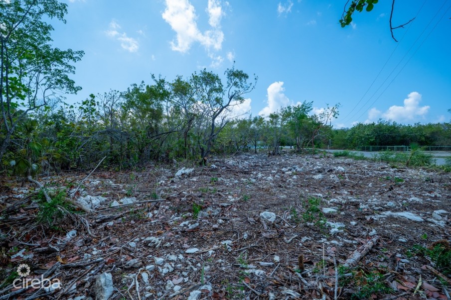 CAYMAN BRAC LAND, RYAN DR. - Image 5
