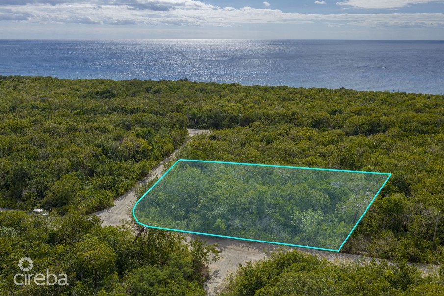 CAYMAN BRAC SELWORTHY GROVE LAND PARCEL