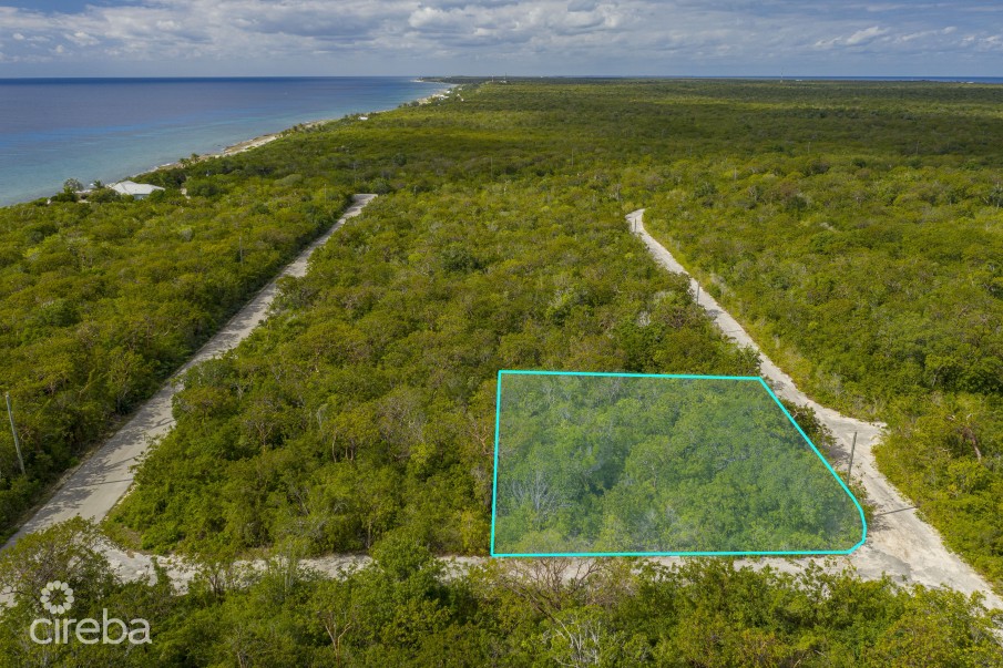 CAYMAN BRAC SELWORTHY GROVE LAND PARCEL - Image 4