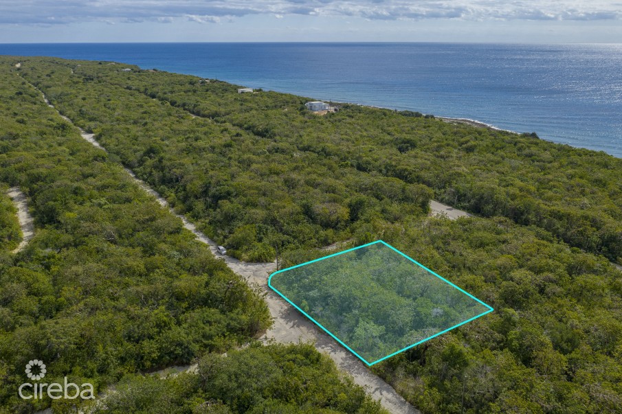 CAYMAN BRAC SELWORTHY GROVE LAND PARCEL - Image 3