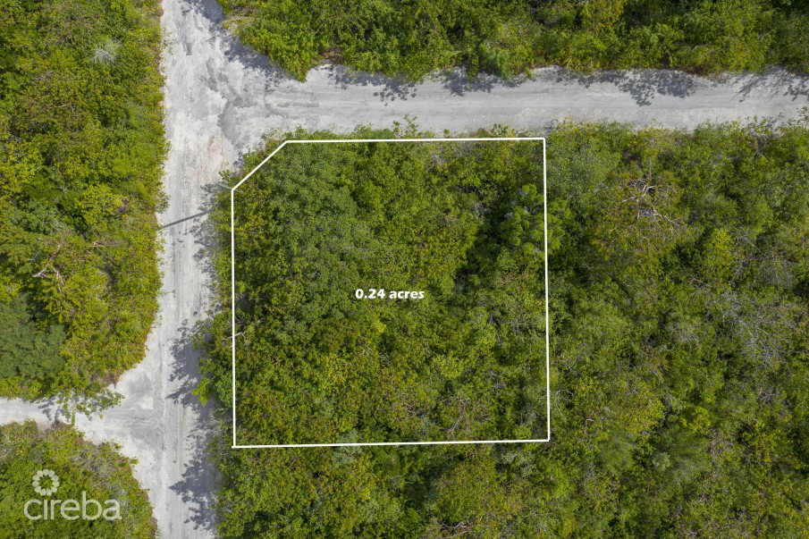 CAYMAN BRAC SELWORTHY GROVE LAND PARCEL - Image 1
