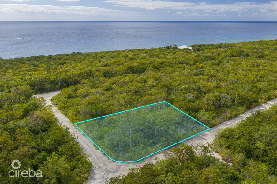 CAYMAN BRAC SELWORTHY GROVE LAND PARCEL - Image 2