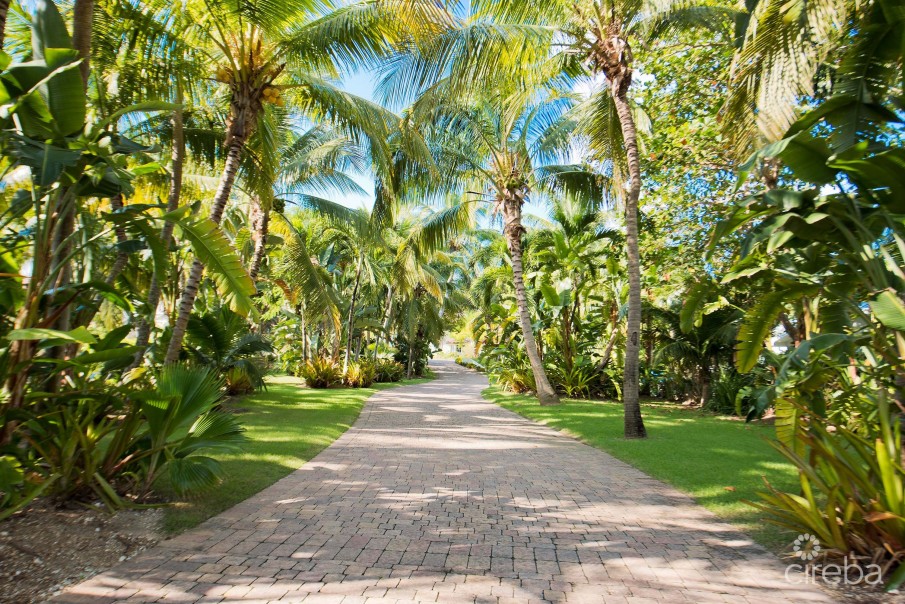 COCONUT WALK -  SEVEN MILE BEACH ESTATE - Image 15