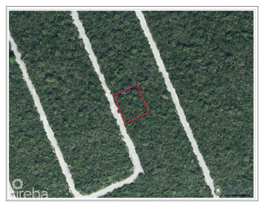 DOLPHIN ESTATES LOT, CAYMAN BRAC - Image 2