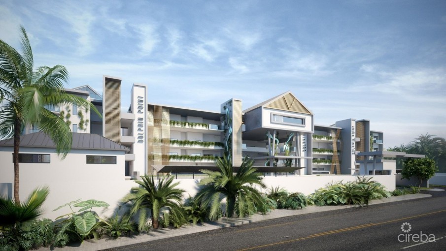 DOLPHIN POINT CLUB - Image 7