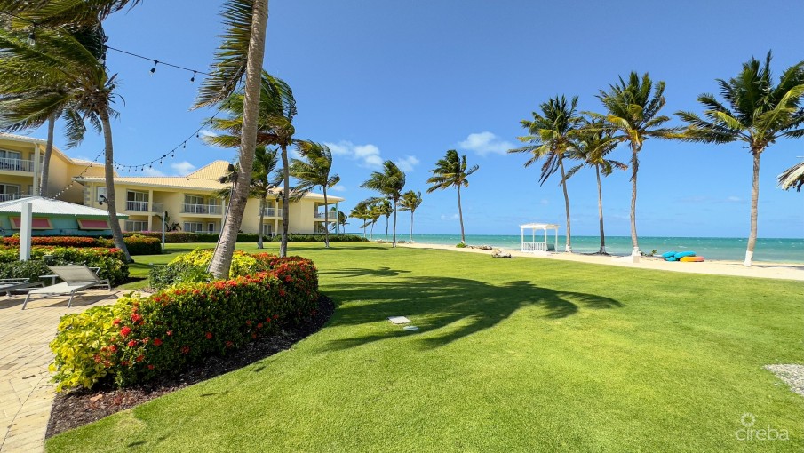 GRAND CAYMANIAN PENTHOUSE - CRYSTAL HARBOUR - Image 3