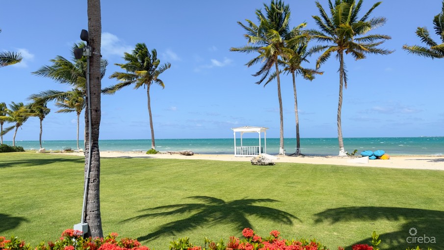 GRAND CAYMANIAN PENTHOUSE - CRYSTAL HARBOUR - Image 19