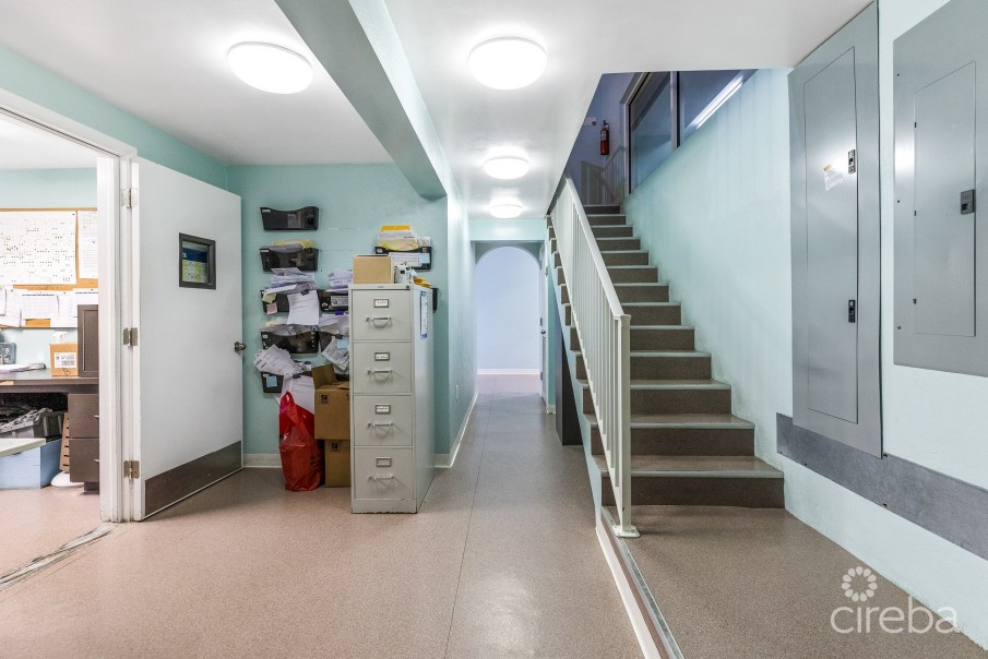 ISLAND VETERINARY SERVICES VET CLINIC AND PROPERTY - Image 18