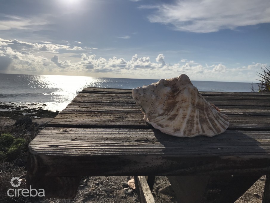 LITTLE CAYMAN INLAND PARCEL - Image 2
