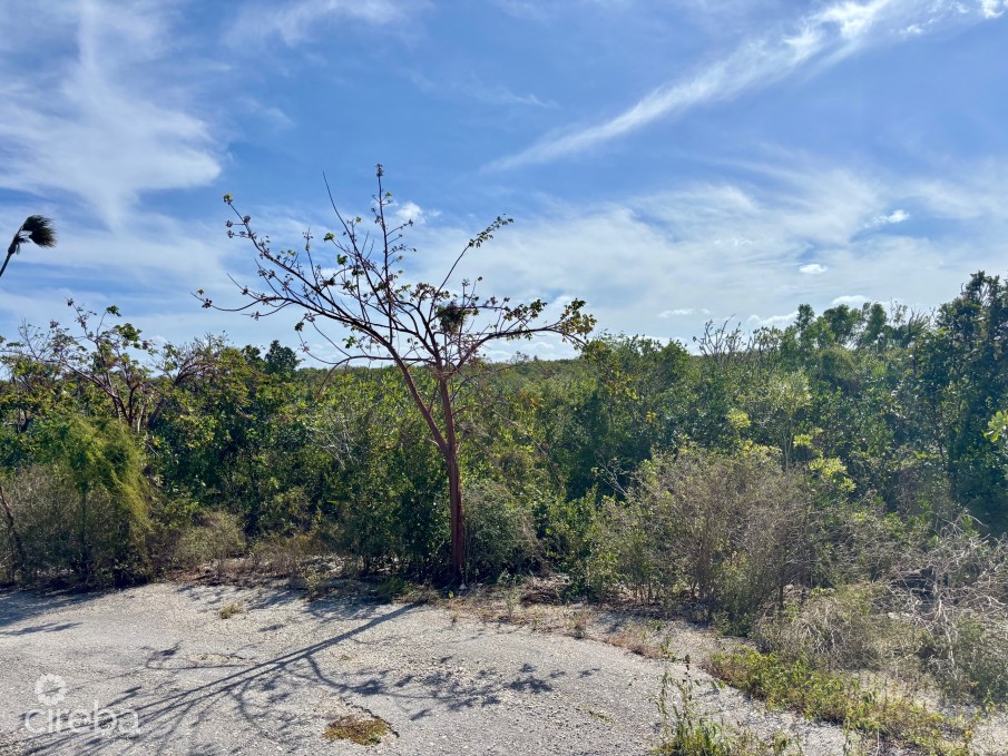 LITTLE CAYMAN EAST LOT - .5 ACRES - Image 3