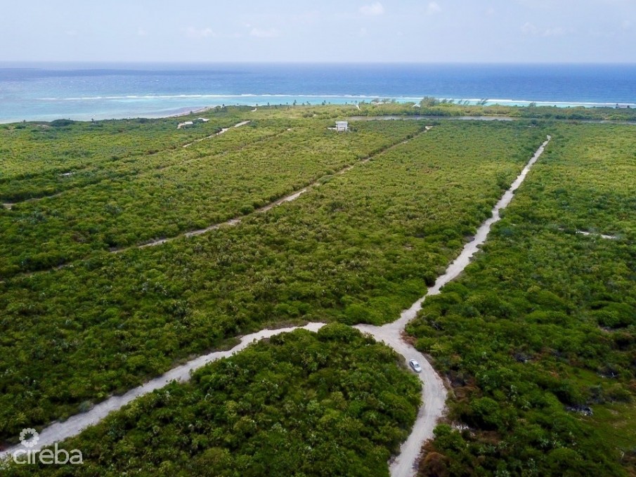 LITTLE CAYMAN LOT NEAR POINT OF SANDS - Image 7