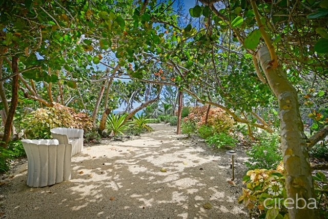 LIV CAYMAN - BEACHFRONT WITH DEVELOPMENT POTENTIAL - Image 8