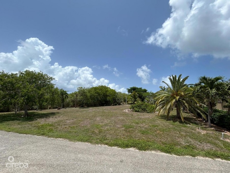 .46 ACRE LOT - FILLED & WELL-MAINTAINED  - LOWER VALLEY