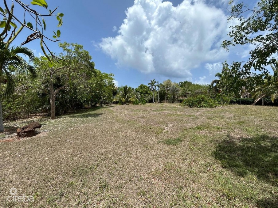 .46 ACRE LOT - FILLED & WELL-MAINTAINED  - LOWER VALLEY - Image 2