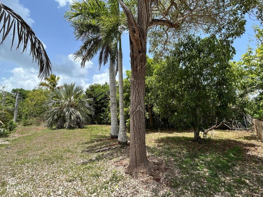 .46 ACRE LOT - FILLED & WELL-MAINTAINED  - LOWER VALLEY - Image 1