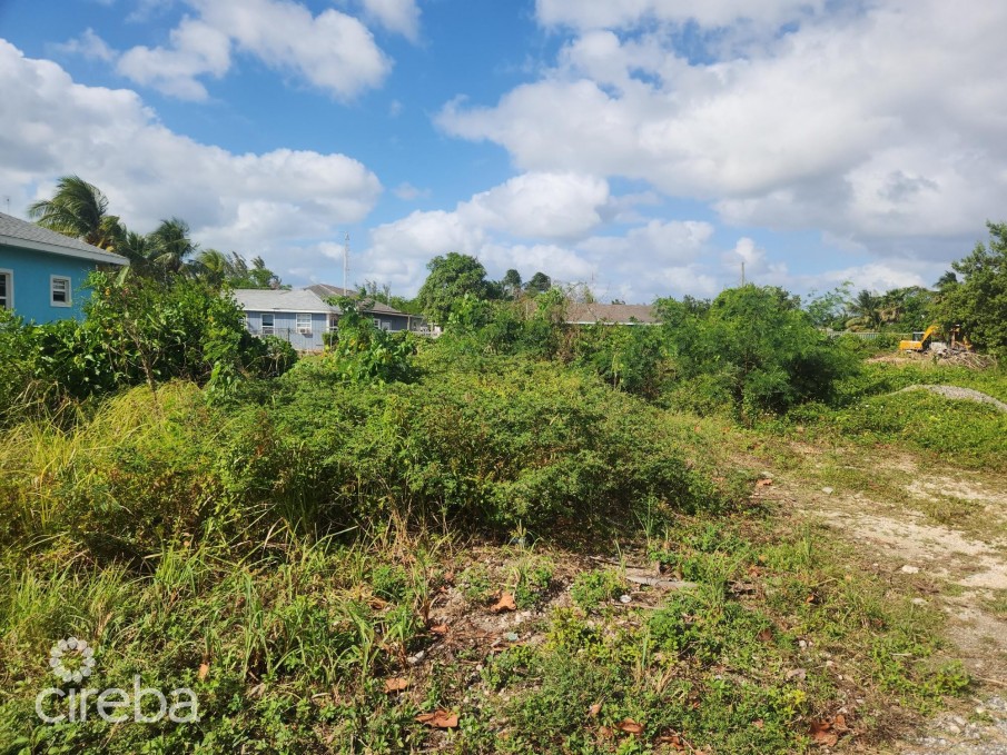 MIDLAND ACRES HOUSE LOT - BRING OFFERS! - Image 4