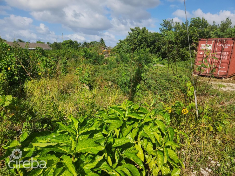 MIDLAND ACRES HOUSE LOT - BRING OFFERS! - Image 2