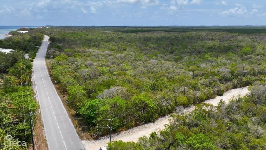 NATURE WALK LOT 7 - Image 9