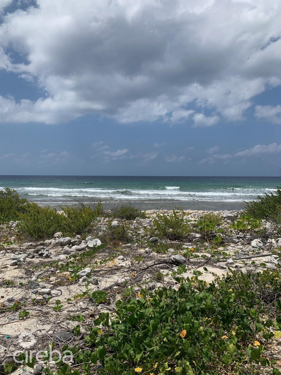 NORTHSIDE OCEAN FRONT AND INLAND PROPERTY - Image 3
