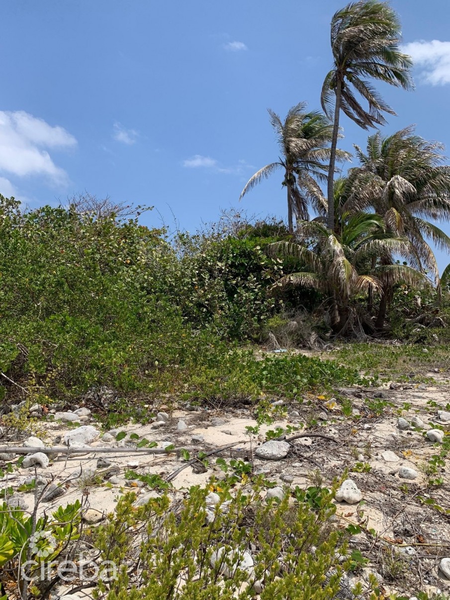 NORTHSIDE OCEAN FRONT AND INLAND PROPERTY - Image 4