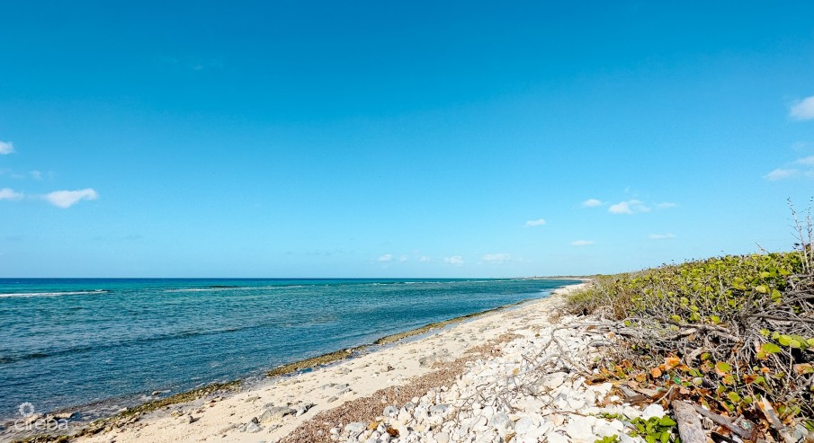 OCEANFRONT LAND LITTLE CAYMAN  - Image 1