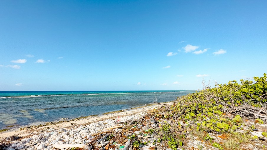 OCEANFRONT LAND LITTLE CAYMAN  - Image 4