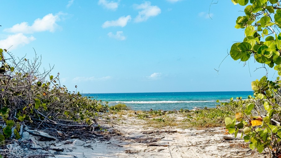 OCEANFRONT LAND LITTLE CAYMAN  - Image 6