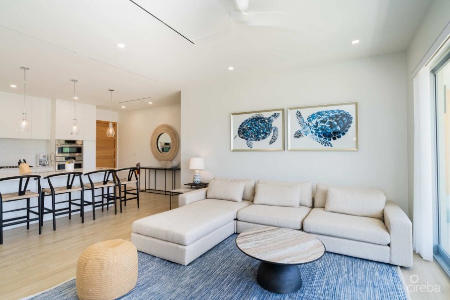 ONE CANAL POINT 512 WITH 30FT BOAT DOCK - Image 2