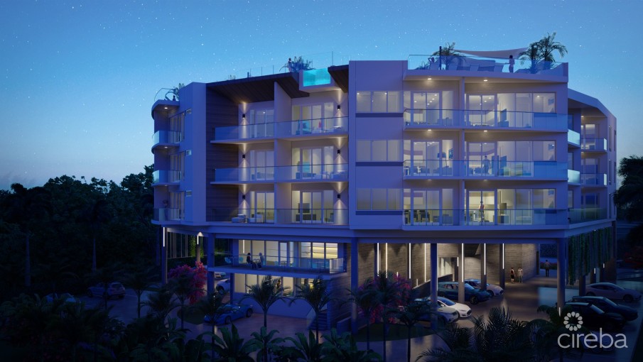 POINT WEST 8, OCEANFRONT CONDO - Image 11