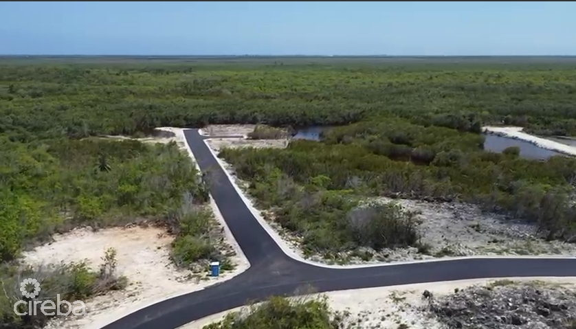 PRIME NORTHSHORE LOT - Image 8