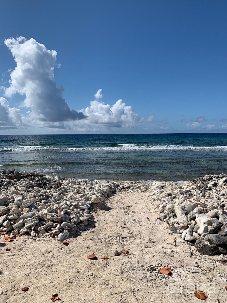 SAPPHIRE SURF - Image 5