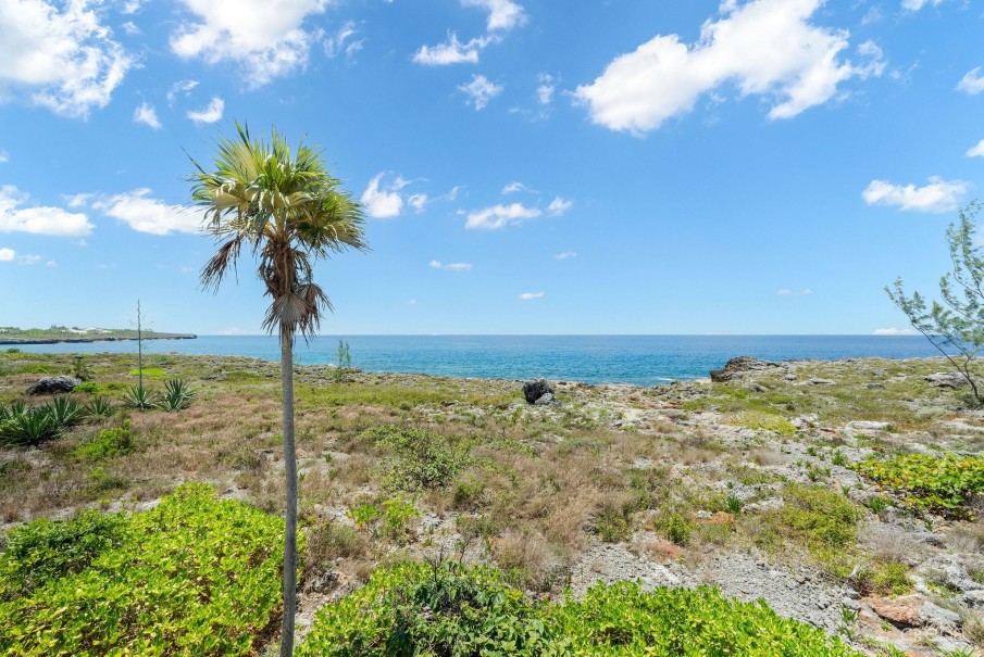 SAVANNAH OCEANFRONT 3 ACRE ESTATE - Image 23