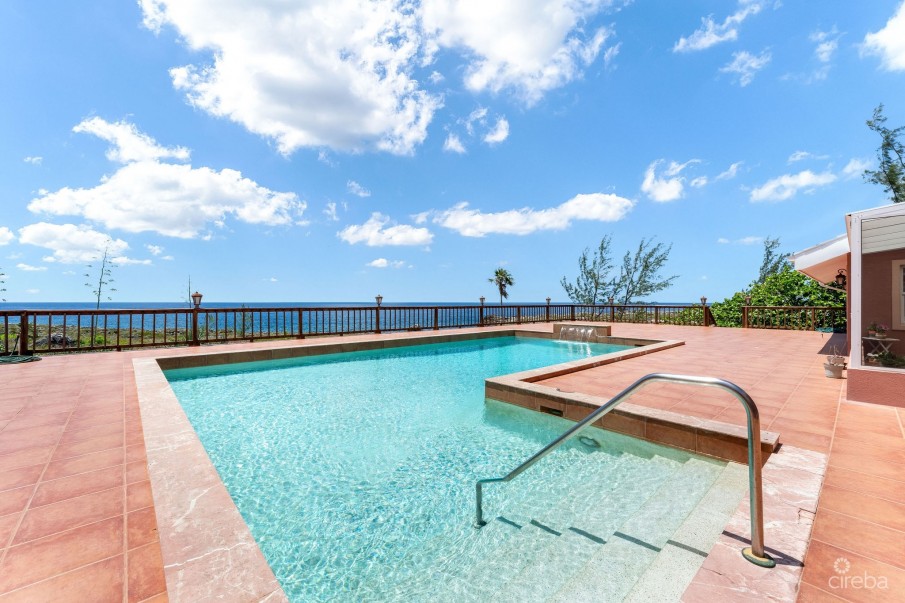 SAVANNAH OCEANFRONT 3 ACRE ESTATE - Image 22