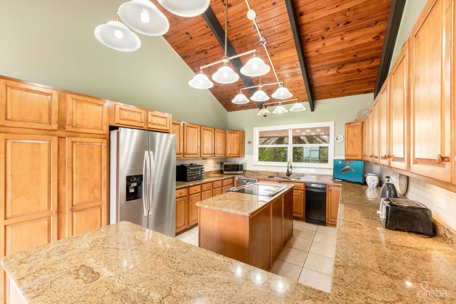 SAVANNAH OCEANFRONT 3 ACRE ESTATE - Image 13