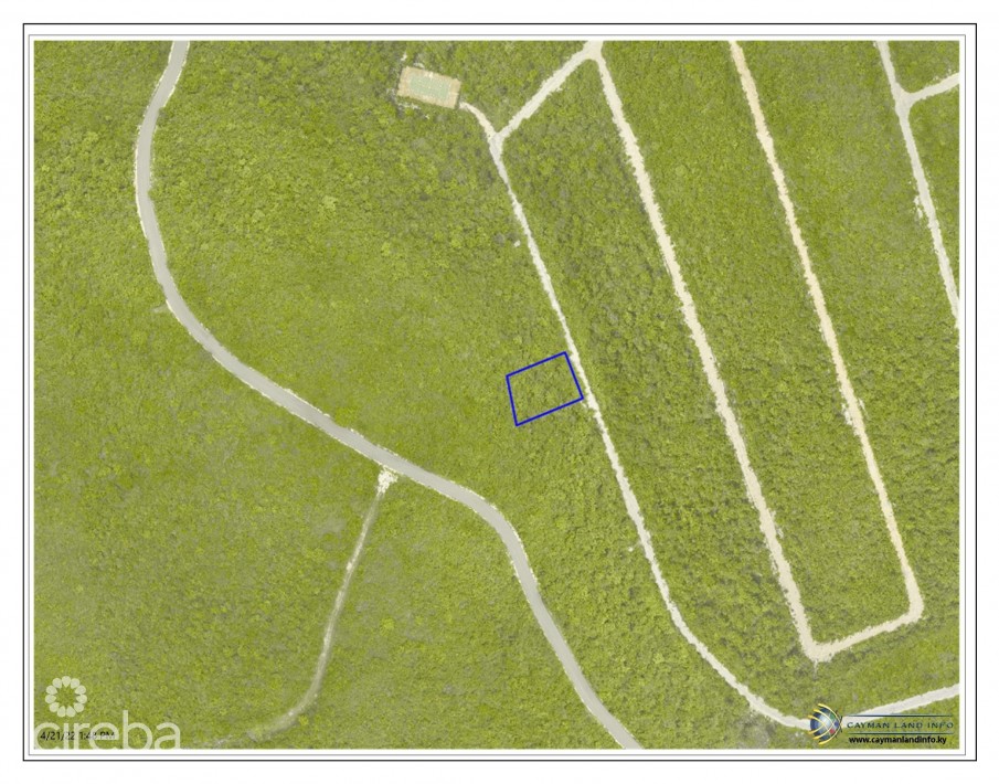 CAYMAN BRAC BLUFF SELWORTHY GROVE LAND LOT - Image 1