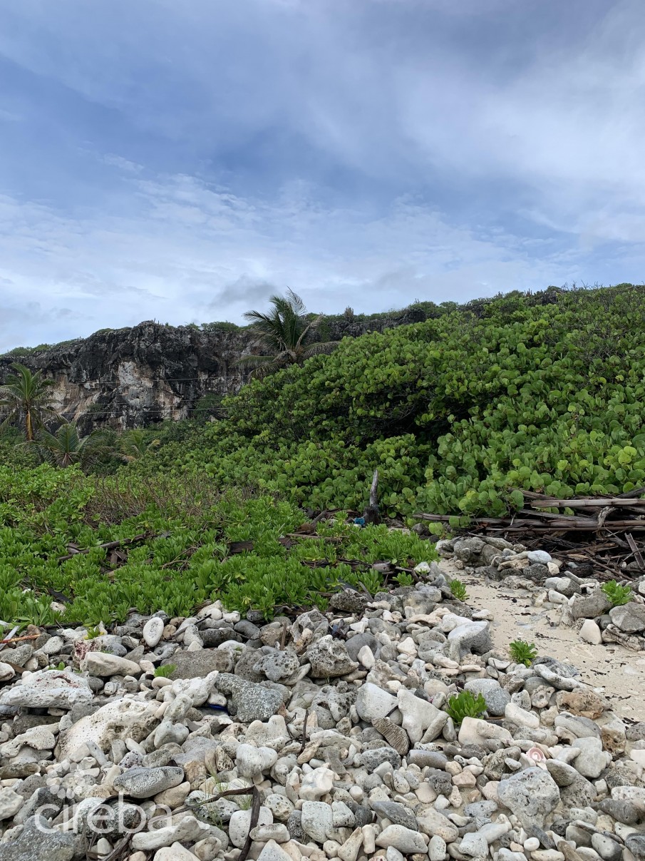 SOON COME - SOUTH SIDE EAST OCEAN FRONT LAND - Image 8