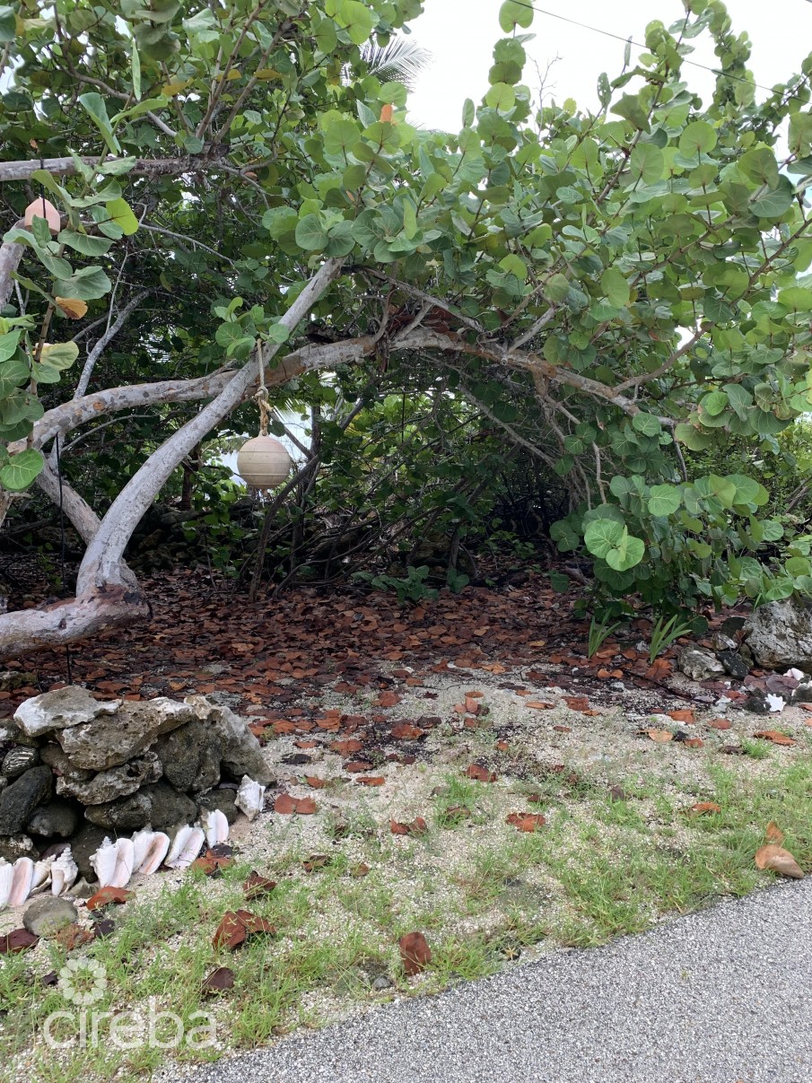 SOON COME - SOUTH SIDE EAST OCEAN FRONT LAND - Image 1