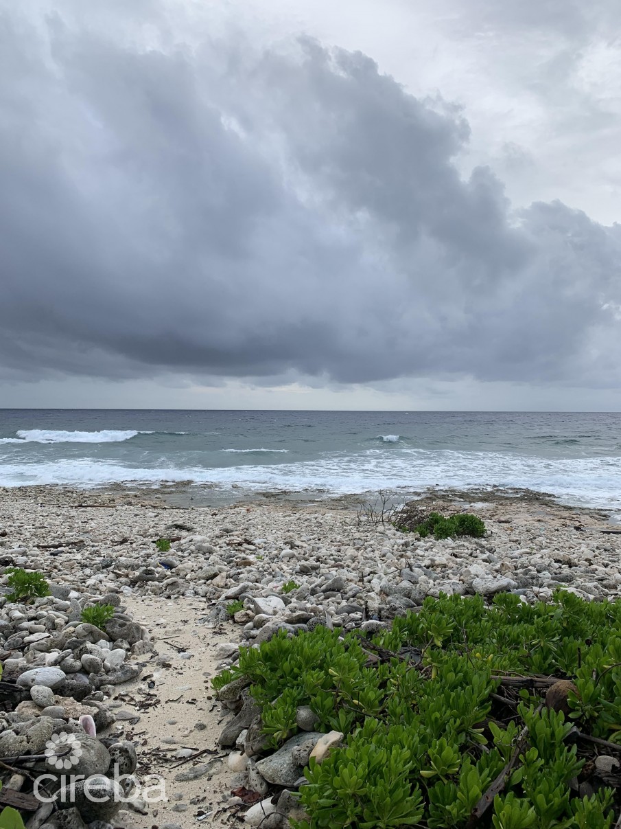 SOON COME - SOUTH SIDE EAST OCEAN FRONT LAND - Image 6