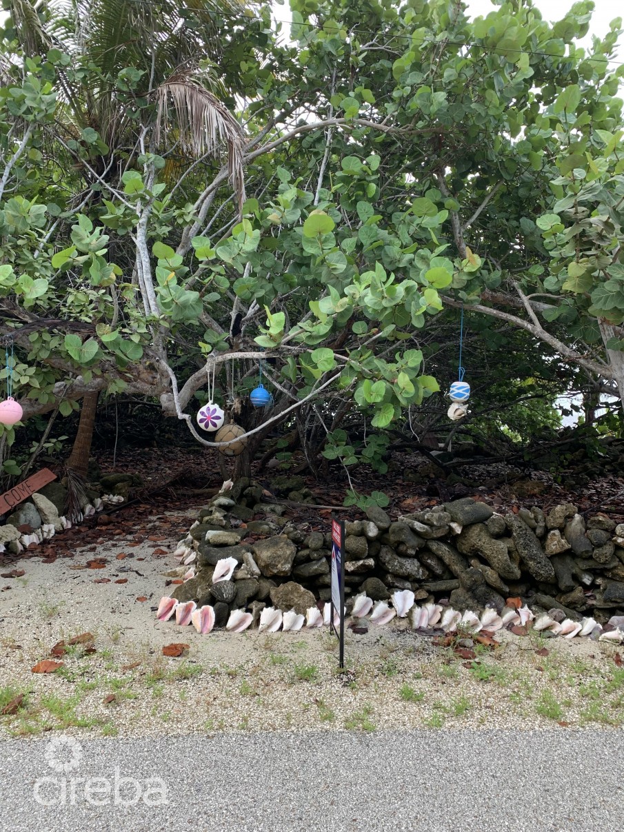 SOON COME - SOUTH SIDE EAST OCEAN FRONT LAND - Image 2