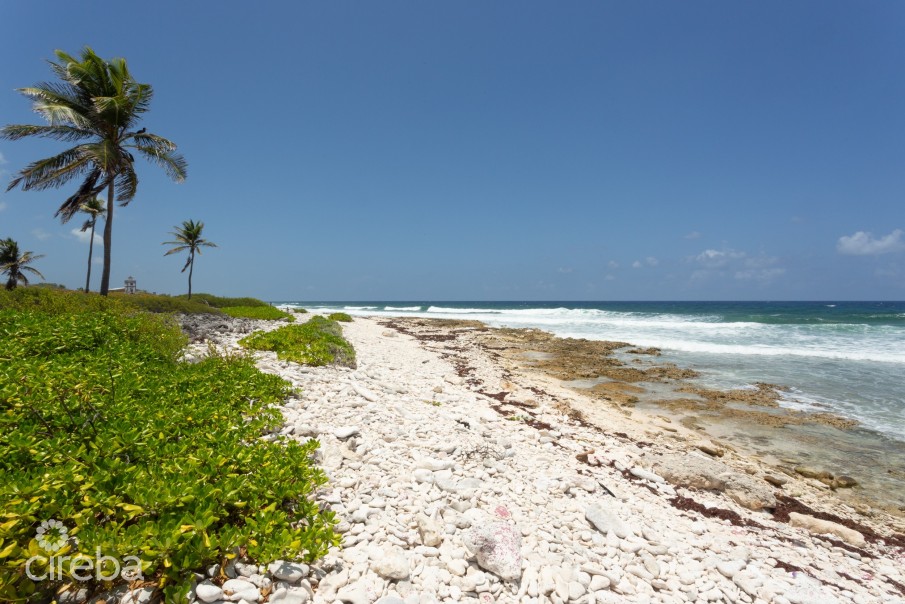 SOUTH SIDE BLUFF BACKING LAND - Image 6