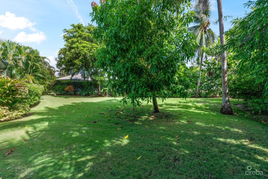 SOUTH SOUND FAMILY HOME (0.45 ACRE LOT) - Image 6