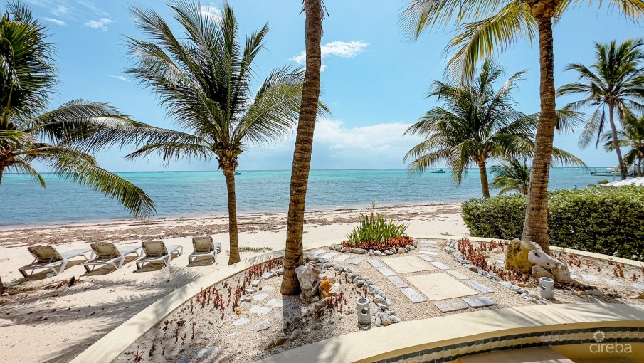 THE CLUB – LITTLE CAYMAN – OCEANFRONT - Image 13