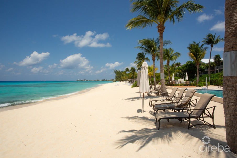 THE PALMS 14, SEVEN MILE BEACH PENTHOUSE - Image 12