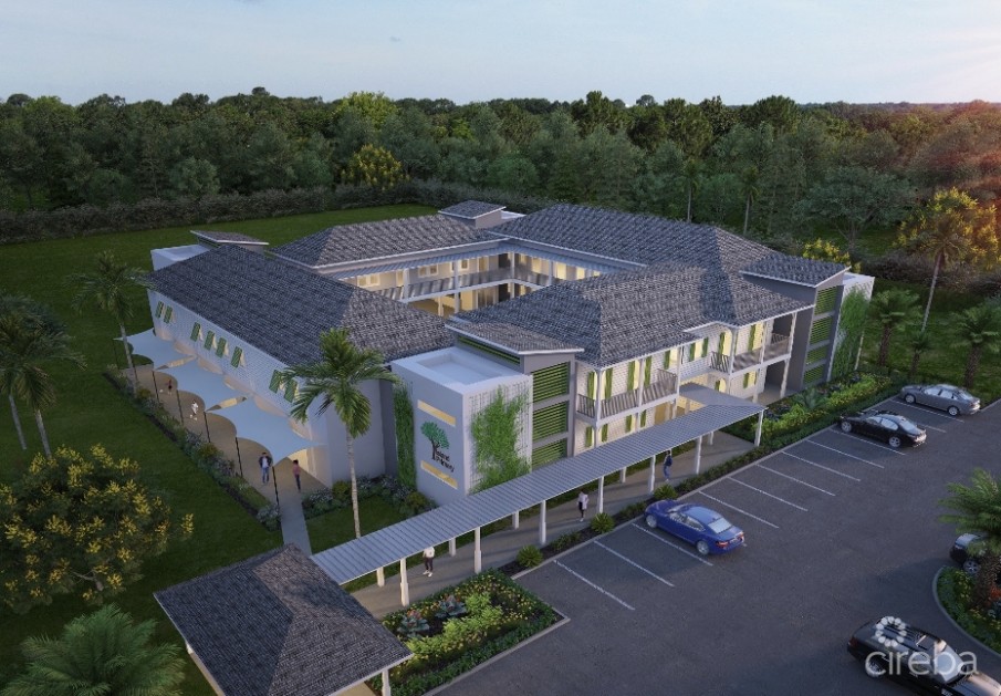 THE SHOPS AT BUTTONWOOD - RETAIL - Image 6