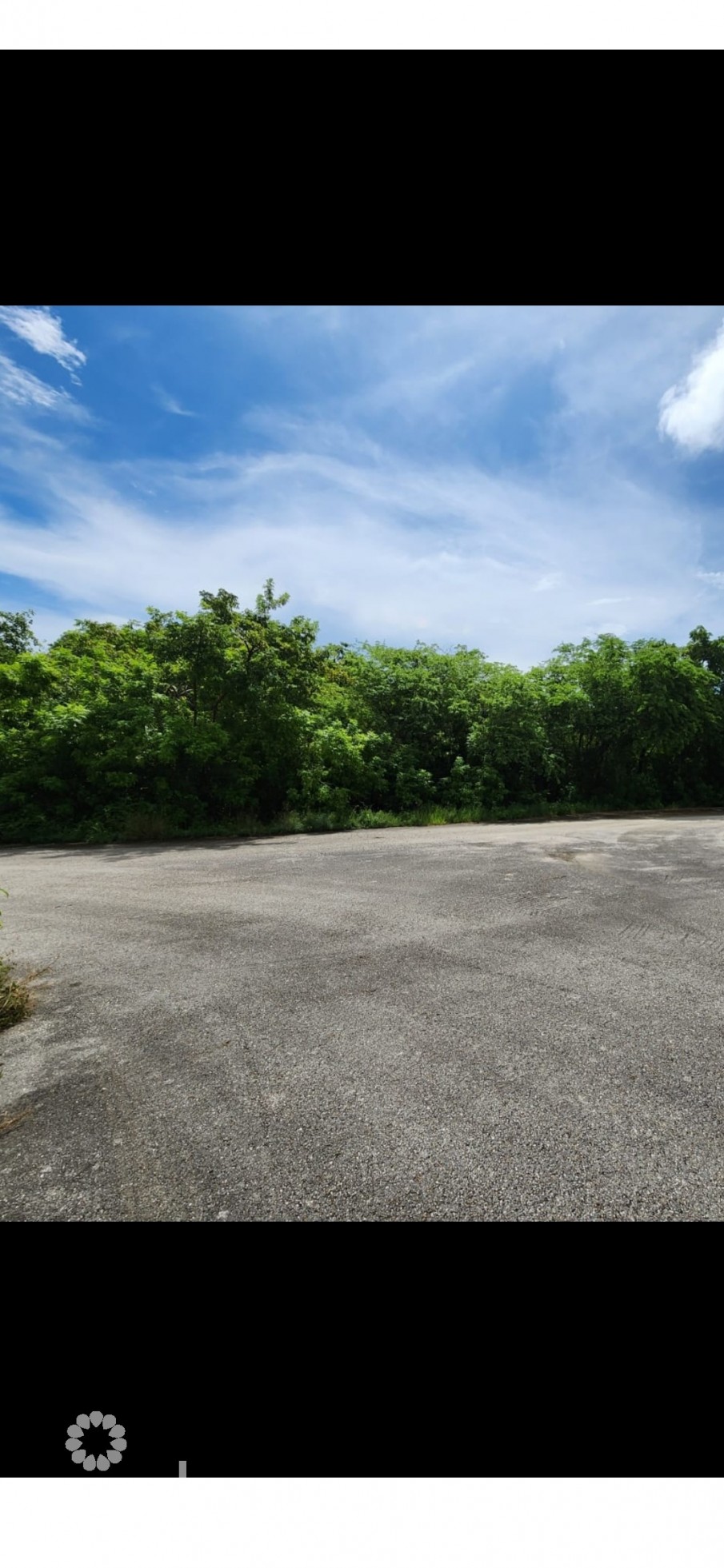 VALLEY GARDENS LAND, HIGH ELEVATION - Image 3
